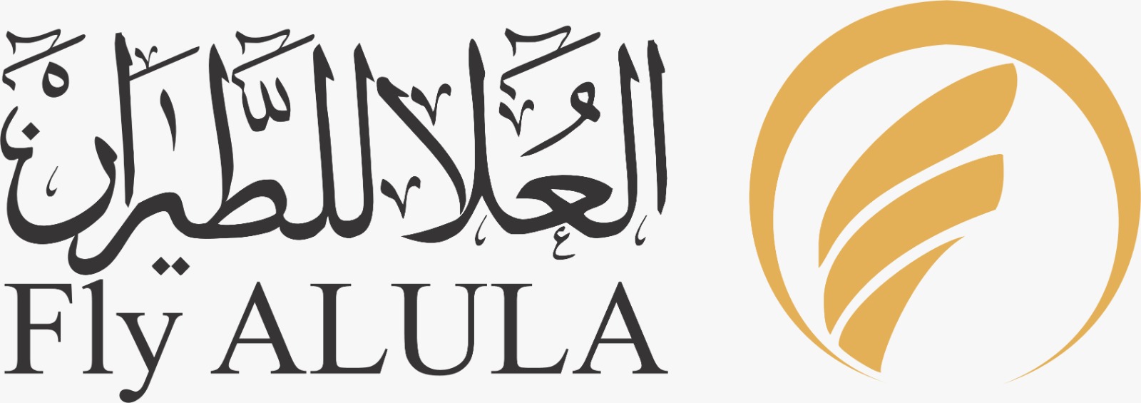 Fly ALULA Logo